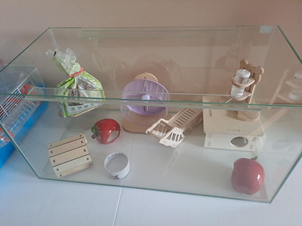 Huis voor hamster, glas kooi, Dieren en Toebehoren, Ophalen, Zo goed als nieuw, Overige materialen