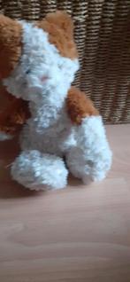 Knuffel Hema poes, Ophalen of Verzenden, Zo goed als nieuw, Poes