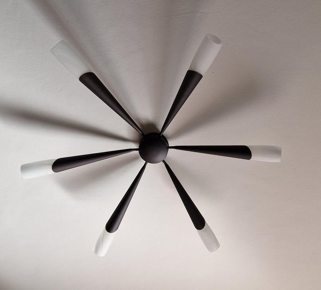 Plafondlamp met zes armen en glazen kappen, Ophalen