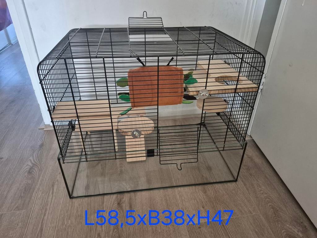 Complete hamsterkooi, Kooi, Minder dan 75 cm, Hamster, Ophalen