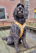 Okergeel en zwart Anny-x tuigje maat M, Ophalen of Verzenden, Zo goed als nieuw