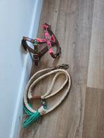 Nieuw DWAM setje leer, Dieren en Toebehoren, Ophalen of Verzenden, Nieuw