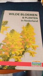 Wilde bloemen en planten in Nederland, Boeken, Natuur, Ophalen of Verzenden, Nieuw, Bloemen, Planten en Bomen