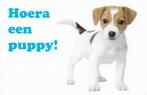 H30 Ongelopen ansichtkaart hoera een puppy, Verzenden, 1980 tot heden, Gelopen