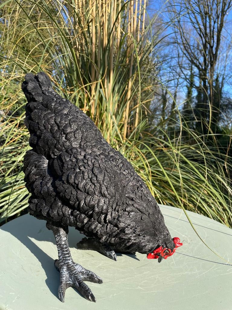 Beeld kip, tuin, vijver, gazon, boerderij 35cm, Ophalen, Nieuw, Kunststof, Dierenbeeld