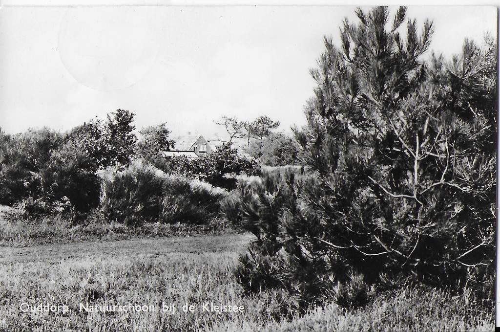 Ouddorp Bij de Kleistee Oude Gelopen Ansichtkaart ( nr2004 ), Verzenden, 1940 tot 1960, Gelopen