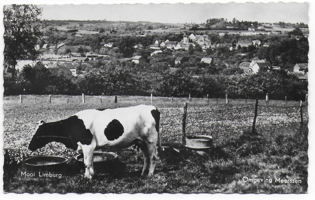 Omgeving Meerssen Oude Ongelopen Ansichtkaart ( B5216), Ophalen of Verzenden, 1960 tot 1980, Ongelopen