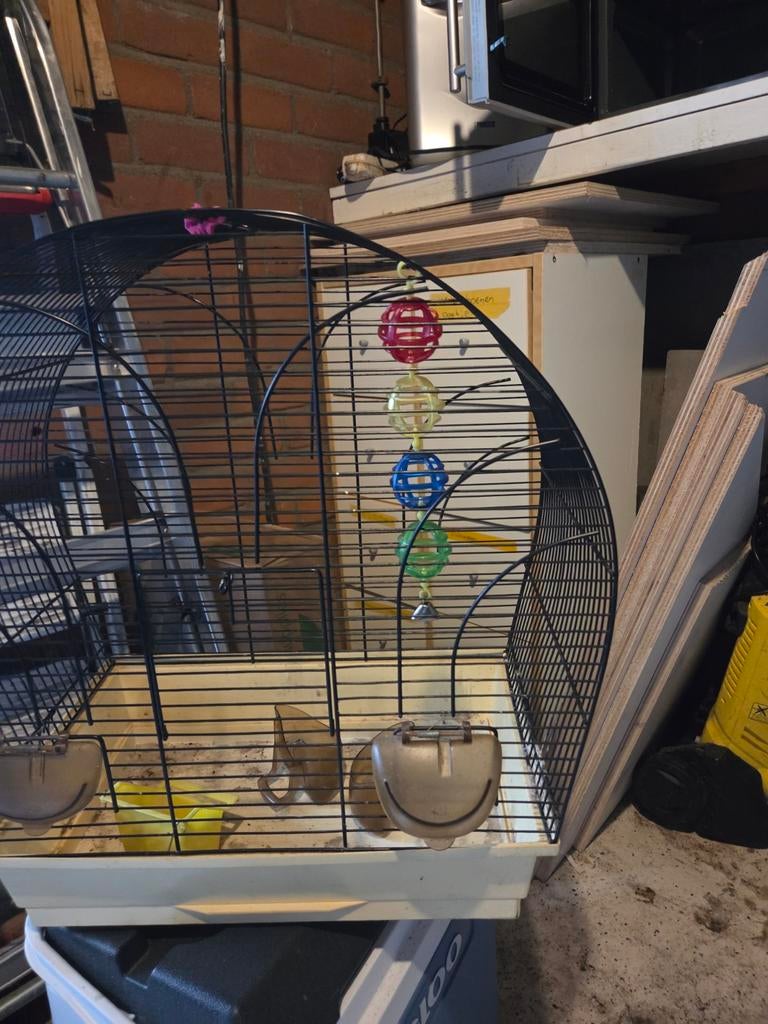 Vogelkooi 53x50x28 kan nog prima mee goede staat, Dieren en Toebehoren, Vogels | Hokken en Kooien, Ophalen, Gebruikt, Metaal, Vogelkooi