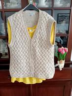Vanilia vest.1 maat, Kleding | Dames, Tops, Ophalen of Verzenden, Maat 38/40 (M), Beige, Lange mouw