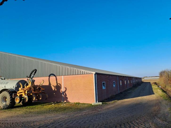 staalconstructie, Doe-het-zelf en Verbouw, Metalen, Gebruikt, IJzer, Ophalen