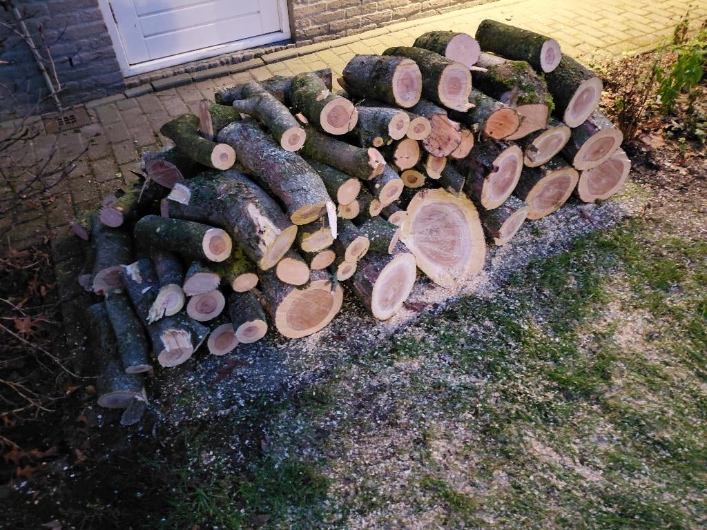 Brandhout van Gleditsia ongeveer 0,35m3, Minder dan 3 m³, Ophalen, Overige houtsoorten, Stammen