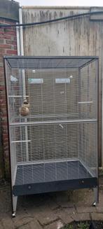 Super grote mooie  binnen volière te koop, Dieren en Toebehoren, Ophalen, Zo goed als nieuw, Metaal, Volière