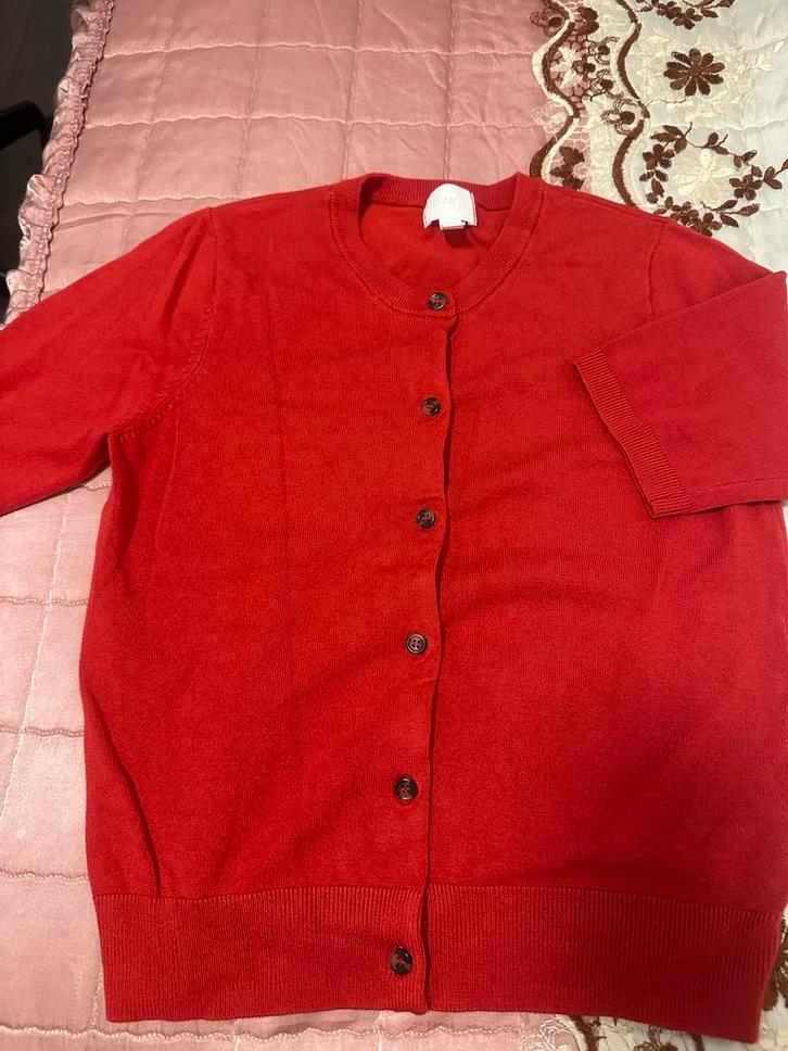 Set van 3 truien: H&M vest, Paris hoodie, Puma hoodie, Kleding | Dames, Truien en Vesten, Gedragen, Maat 36 (S), Overige kleuren