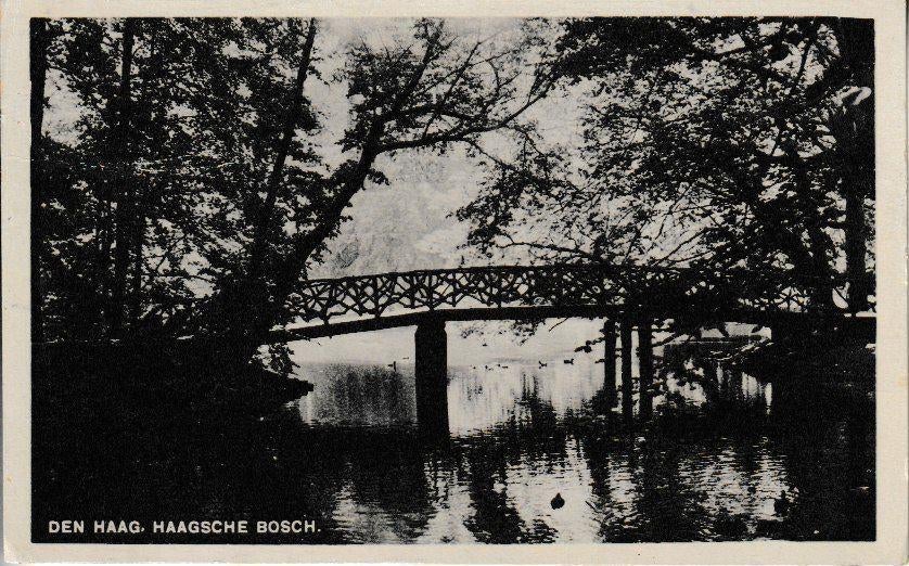 DEN HAAG - HAAGSCHE BOSCH, Verzamelen, Ophalen of Verzenden, 1940 tot 1960, Ongelopen, Zuid-Holland