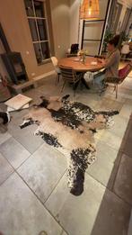 Koeienhuid echt, Gebruikt, Gevlekt, Overige typen, Ophalen of Verzenden