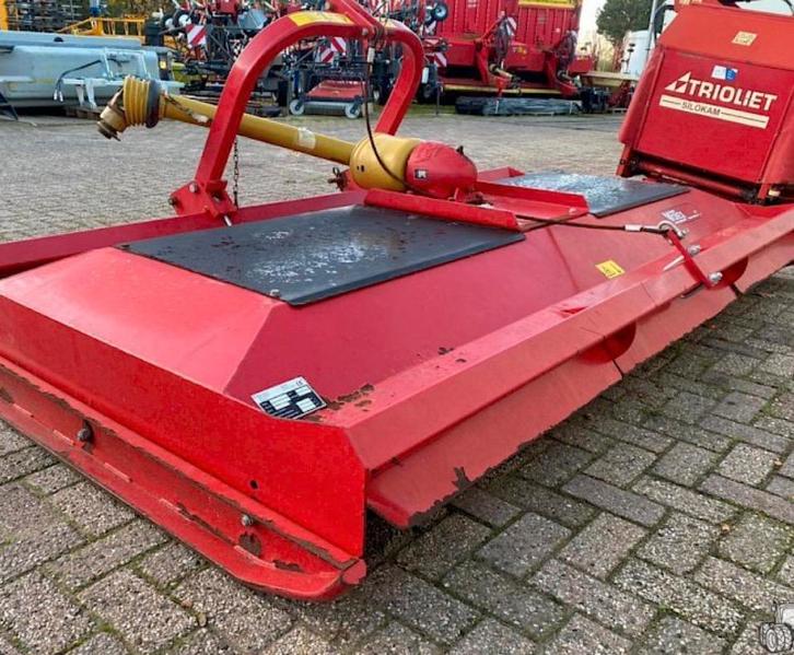 Gezocht bloter, Dieren en Toebehoren, Stalling en Weidegang