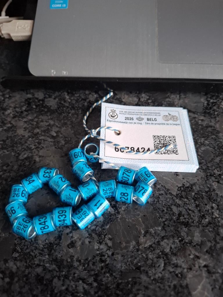 20 duivenringen 2026  belg, Meerdere dieren