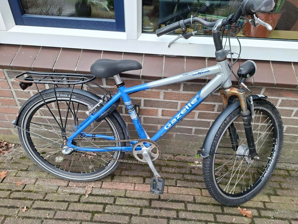 Gazelle Shark - Blauw/Zilver - Gebruikt-24 inch, Ophalen, Gebruikt, 24 inch, Gazelle