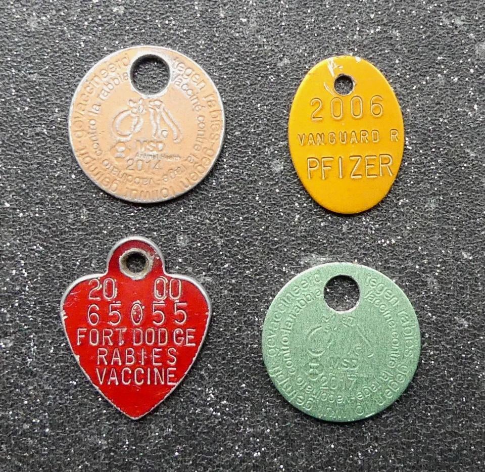 Rabies penning 4x honden penningen rabiës vaccinatie hond, Ophalen of Verzenden, Gebruikt