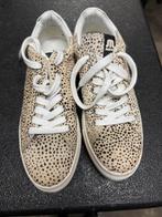 Maruti schoenen maat 39 - Luipaardprint sneakers, Ophalen, Gedragen, Overige kleuren, Sneakers of Gympen