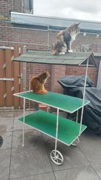 Gietijzeren karretje voor tuin of presentatie, Ophalen, Gebruikt