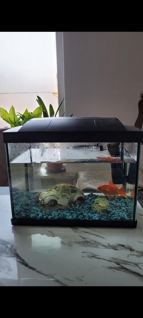 Een  mooie aquaria ., Dieren en Toebehoren, Ophalen of Verzenden, Leeg aquarium