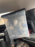 Delfts Blauw Servies Collectie, Ophalen