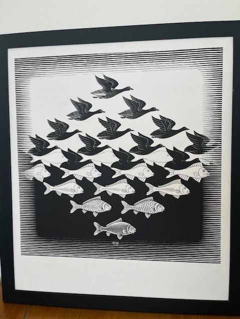 Escher poster, zeefdruk, Ophalen