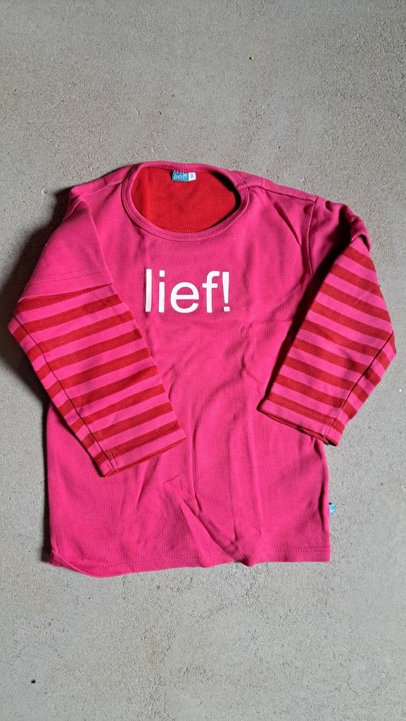 Lief truitje maat 86, Kinderen en Baby's, Babykleding | Maat 86, Ophalen of Verzenden, Zo goed als nieuw, Meisje, Truitje of Vestje