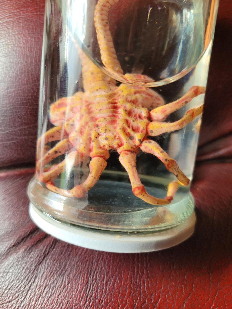 Alien Facehugger Xenomorph embryo op "sterk water"., Verzamelen, Ophalen of Verzenden, Nieuw, Film, Beeldje, Replica of Model