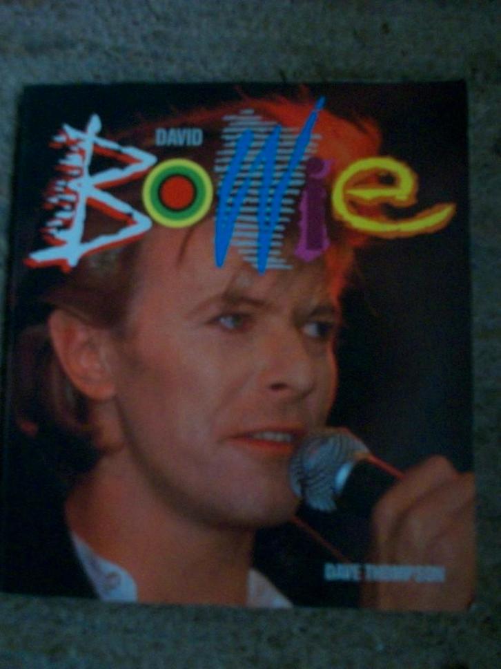 David bowie, 2x boek, loving the alien , christopher, Boeken, Muziek, Gelezen, Artiest, Ophalen of Verzenden