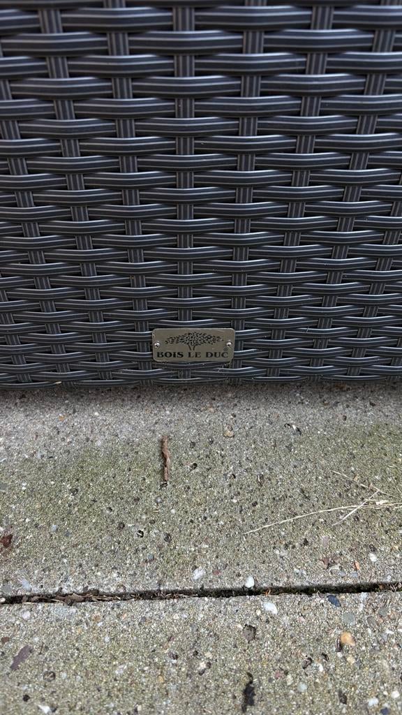 Tuinset Bois Le Duc 1.60 m x 2.70 m, Ophalen, Gebruikt, Meer dan 8 zitplaatsen, Wicker