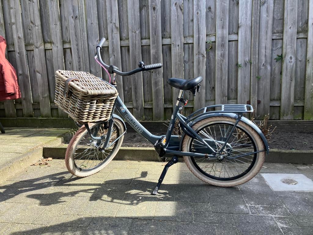 Fiets Alpina 20 inch, Ophalen, Gebruikt