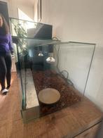 Reptielen terriarium met warmte lampen, Ophalen of Verzenden