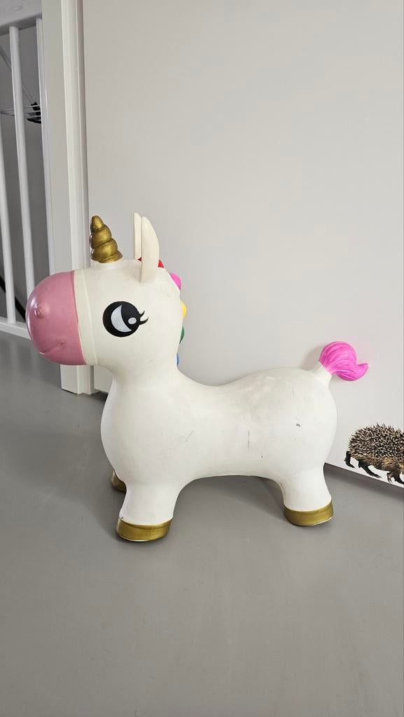 Eenhoorn skippy voor kinderen, Ophalen, Gebruikt, Jongen of Meisje