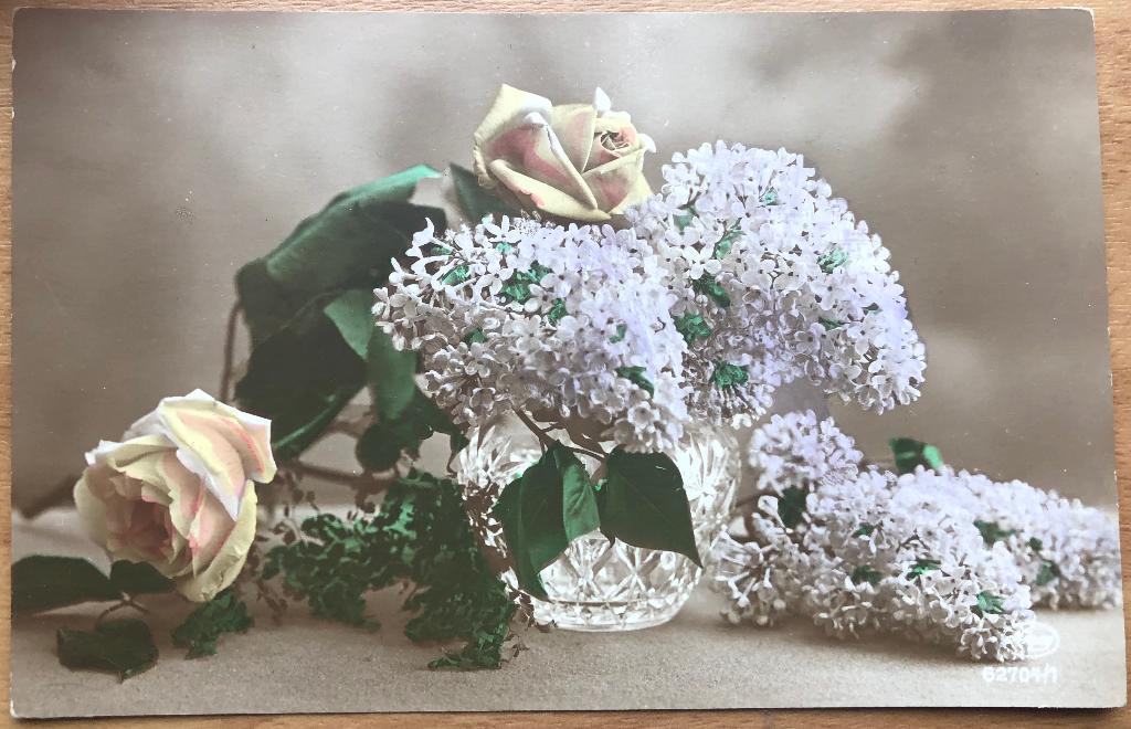 SERINGEN - foto-kaart, Ophalen of Verzenden, 1920 tot 1940, Ongelopen, Overige thema's