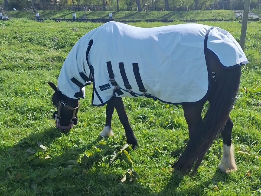 Vliegendeken pony, Dieren en Toebehoren, Paarden en Pony's | Dekens en Dekjes, Ophalen, Nieuw