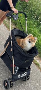 Honden buggy, Dieren en Toebehoren, Ophalen of Verzenden, Zo goed als nieuw