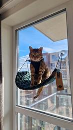 Raamhangmat Sofia Groen voor katten, Ophalen, Zo goed als nieuw