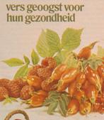 Retro reclame 1973 Roosvicee limonade siroop vers geoogst, Verzamelen, Verzenden, Overige typen