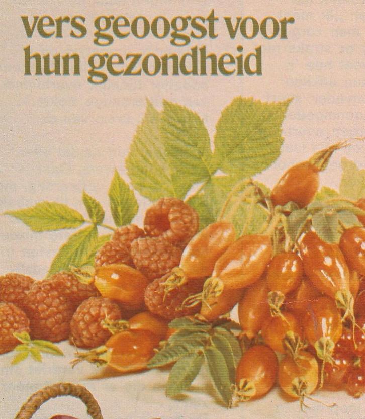Retro reclame 1973 Roosvicee limonade siroop vers geoogst, Verzamelen, Retro, Overige typen, Verzenden