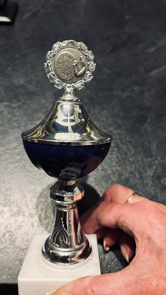 Darts trofee, Ophalen of Verzenden, Zo goed als nieuw, Dartbord