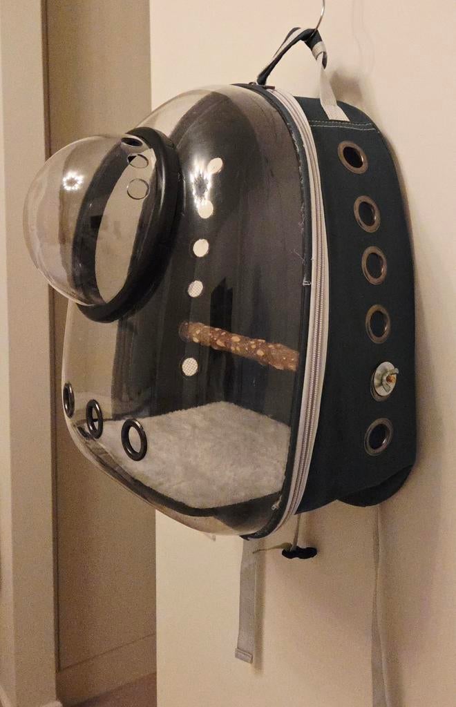 Vogel rugzak voor transport vogels / reistas, Ophalen of Verzenden, Zo goed als nieuw, Hout