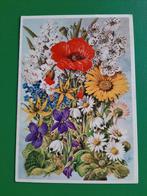 F/ Bloemen. Voor het kind 1969-01-1, Verzenden, 1960 tot 1980, Gelopen
