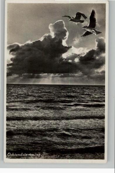 Bakkum  Ochtendstemming, Verzamelen, Ansichtkaarten | Nederland, Ongelopen, Noord-Holland, Voor 1920, Verzenden