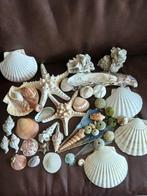 Uit verzameling alles 32€, Ophalen