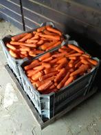 Gewassen winterwortels wortels grote balen hooi voor paarden, Ophalen of Verzenden, Vee