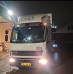 Daf LF Paardenvrachtwagen c1, Auto's, Vrachtwagens, Wit, Bedrijf, DAF, Euro 4