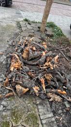 Brandhout, Tuin en Terras, Minder dan 3 m³, Ophalen