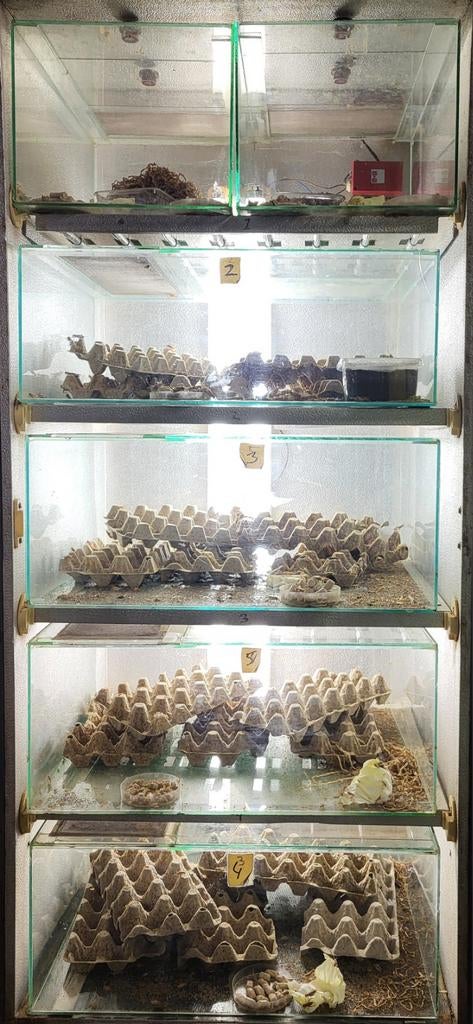 Krekels, Ophalen, Nieuw, Overige typen